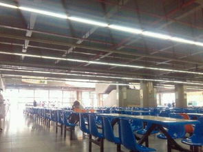 學校食堂窗口技術轉讓 機遇、流程與注意事項