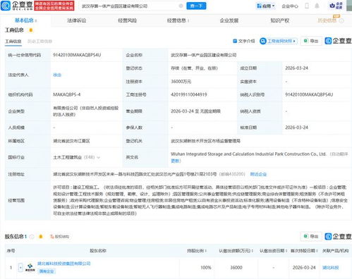 武漢存算一體產業園區建設公司成立，加速區域數字經濟發展